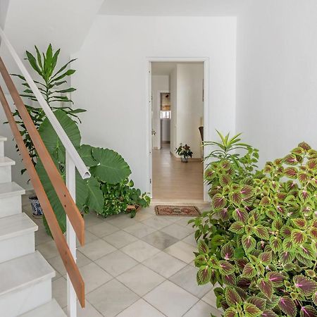 Apartamento Los Naranjos En Vejer Вехер-де-ла-Фронтера Екстер'єр фото