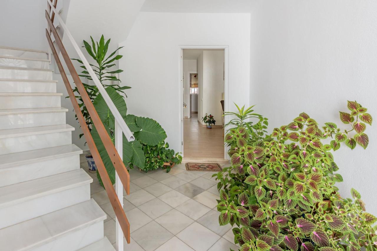 Apartamento Los Naranjos En Vejer Вехер-де-ла-Фронтера Екстер'єр фото